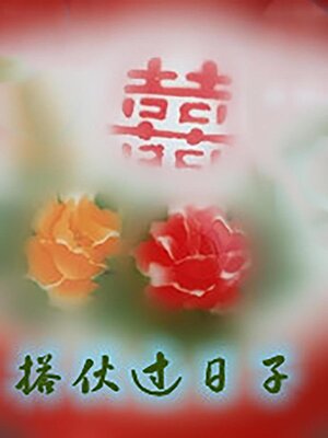 cover image of 搭伙过日子[七零]